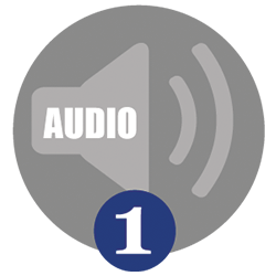 Audio 1 Badge