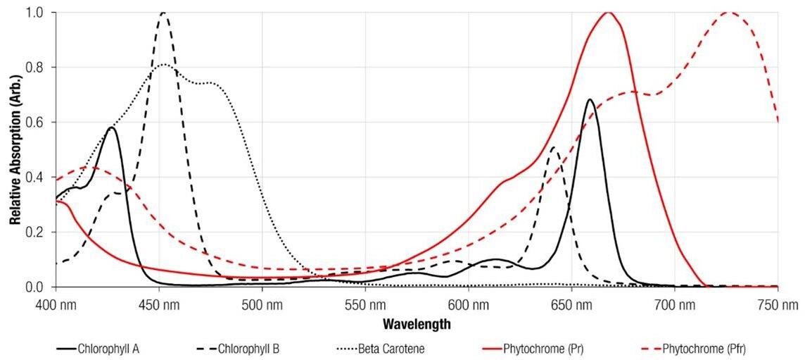 ano004-the-phytochrome-system-why-use-far-red-element14-community