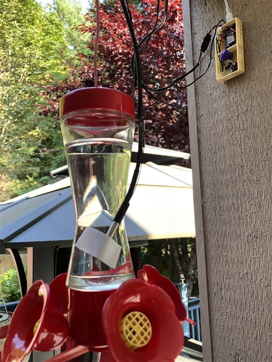 sensors with controller near hummingbird feeder