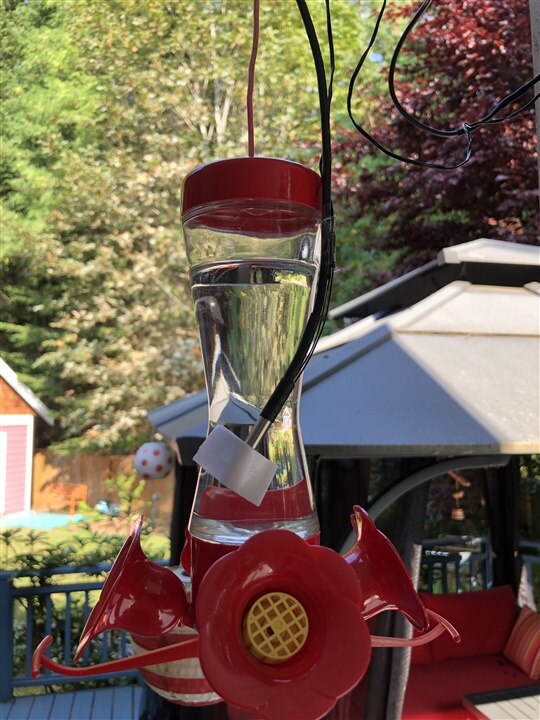 sensors on hummingbird feeder