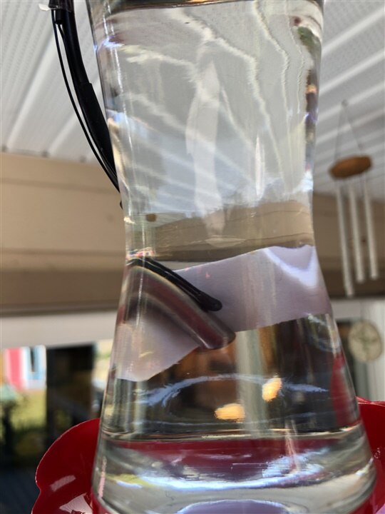 Sensors seen through bottle