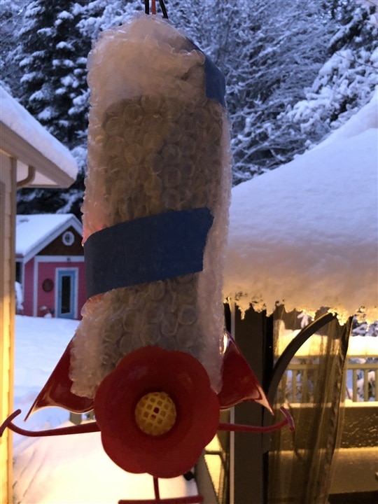 hummingbird feeder in bubblewrap