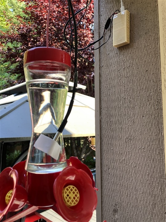 sensor IoT controller installed near hummingbird feeder