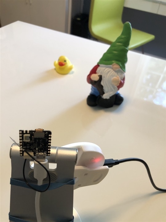 testing Bee Detector with gnomes and ducks