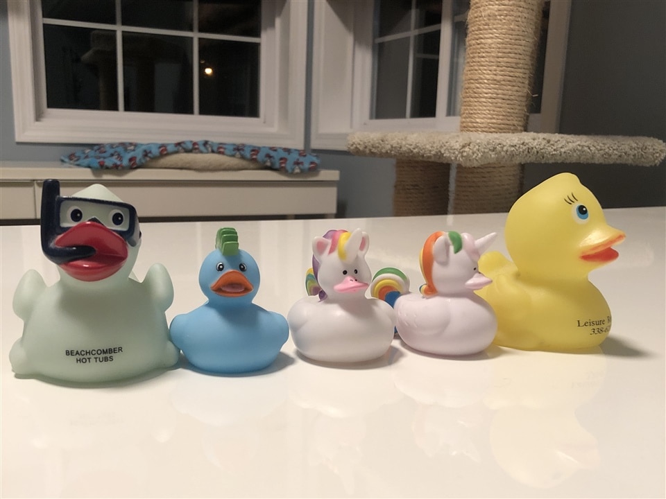 Ducks in a row