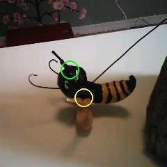 hornet picture saved on Nicla Vision drive