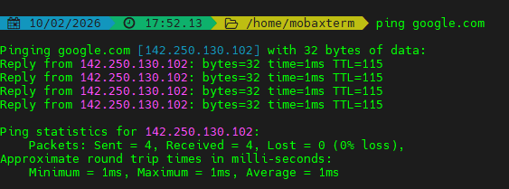 ping test