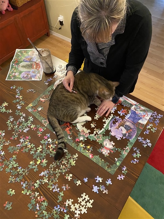 Cat with puzzle