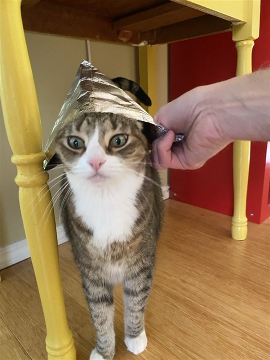 Linus testing brainwaves