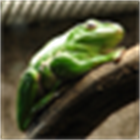 aholtzma