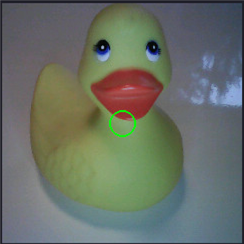 yet another duck