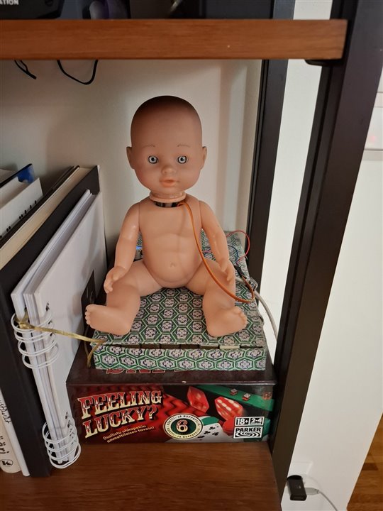 Doll