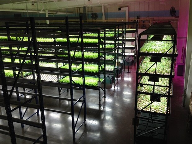 A Real-Life Vertical Farm! - element14 Community