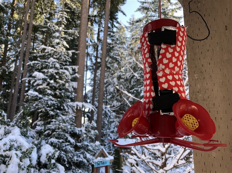 hummingbird feeder insulated